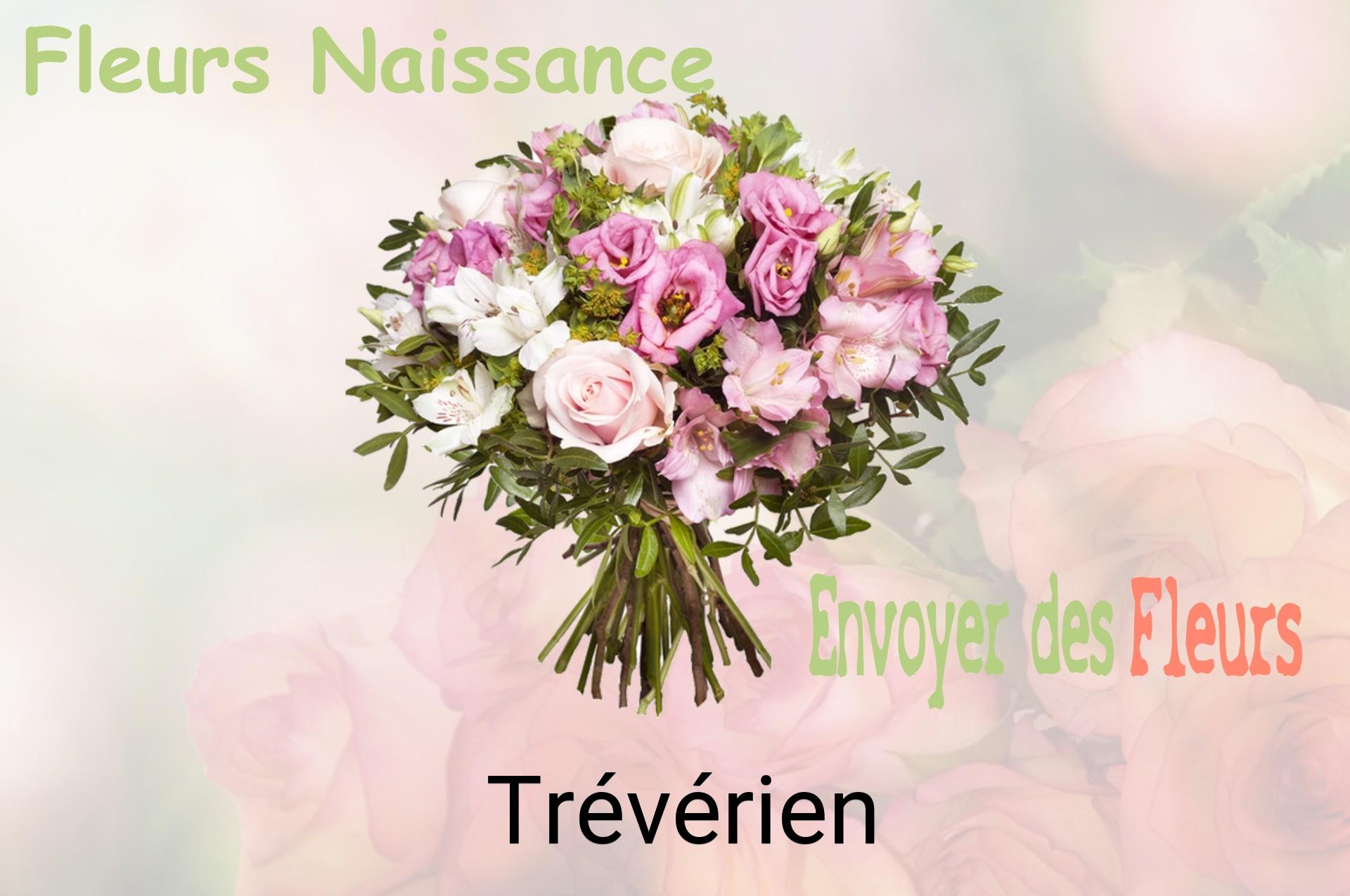 Bouquet de fleurs de naissance livré à Trévérien